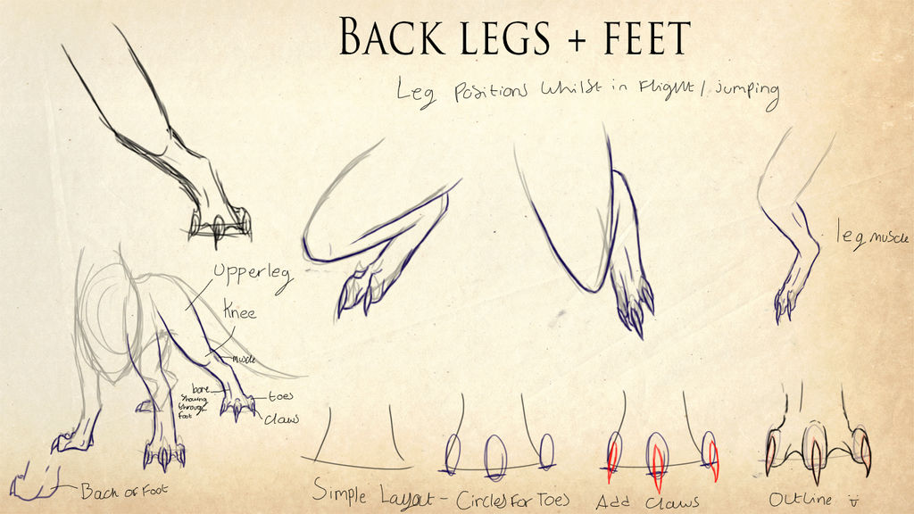 Anatomy Practice - Feet and legs by Nemomein on DeviantArt