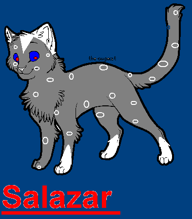 New Salazar