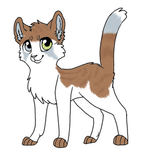 Cat Adoptable CLOSED