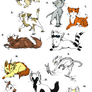 15 Feline Adopts OPEN