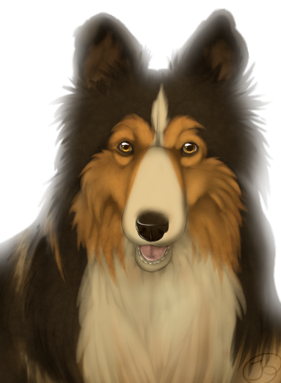 a other dog drawing