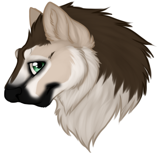 Head shot commission