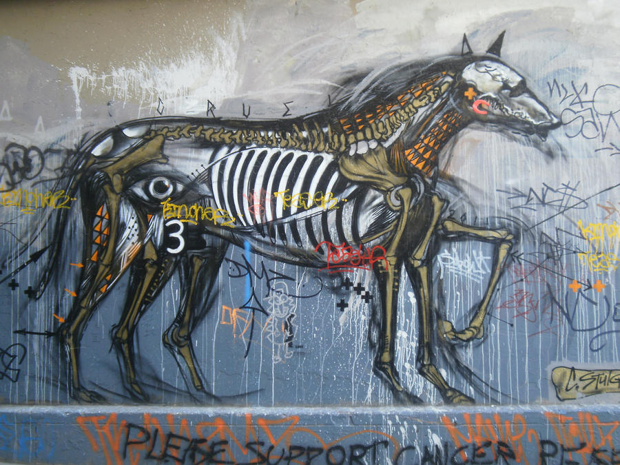 graffiti horse