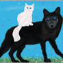 Black wolf and white cat