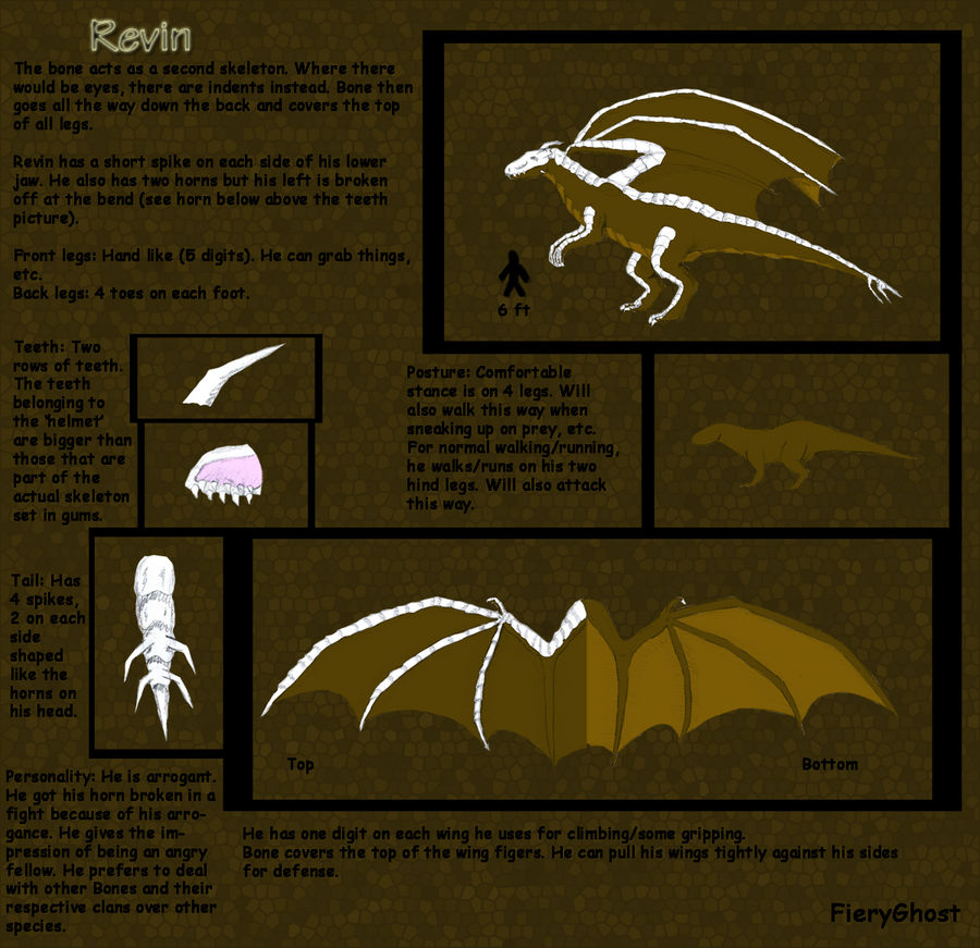 Revin Ref Sheet by Desert-Wyvern on DeviantArt