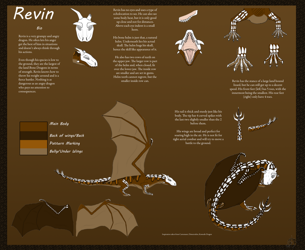 Revin Ref Sheet by Desert-Wyvern on DeviantArt