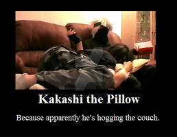 Kakashi the Pillow