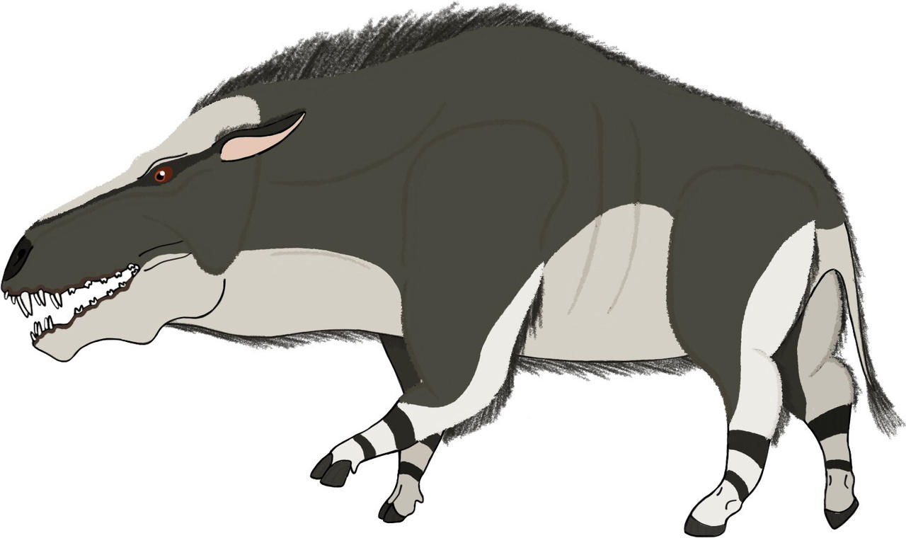 Daeodon by PaleoFauna on DeviantArt