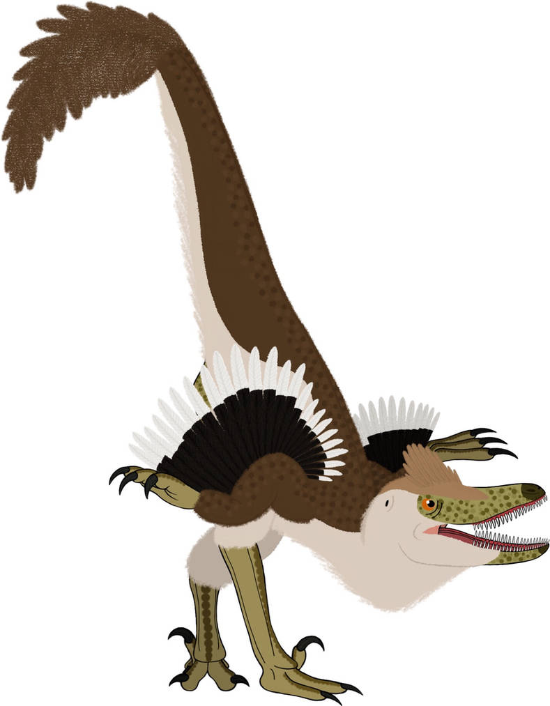 Tssaagan Raptor Size Tsaagan by PaleoFauna on DeviantArt