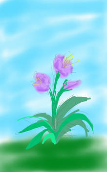 SKETCH A PLANT