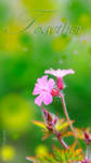 Together by kumArts