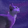 may starclan light your path