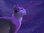 may starclan light your path