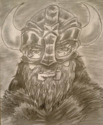 Viking Project