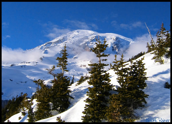 Mount Rainer