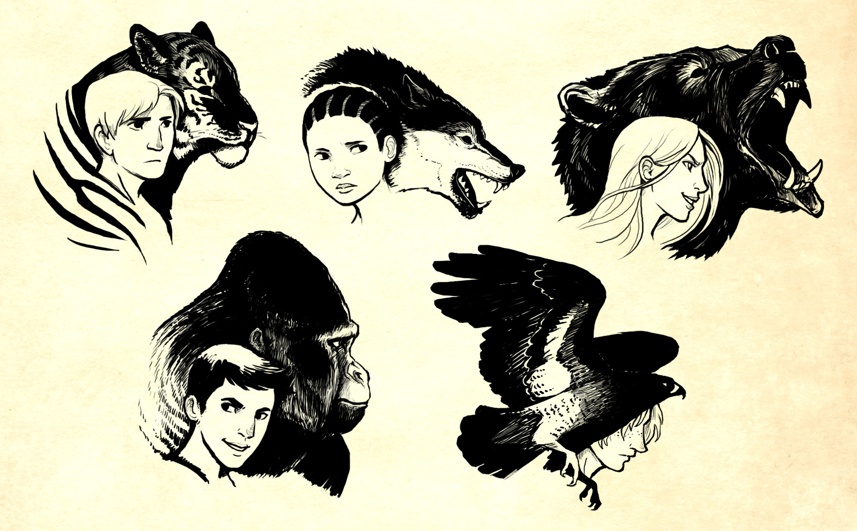 Animorphs Deviantart The Animorphs by lackofa on DeviantArt