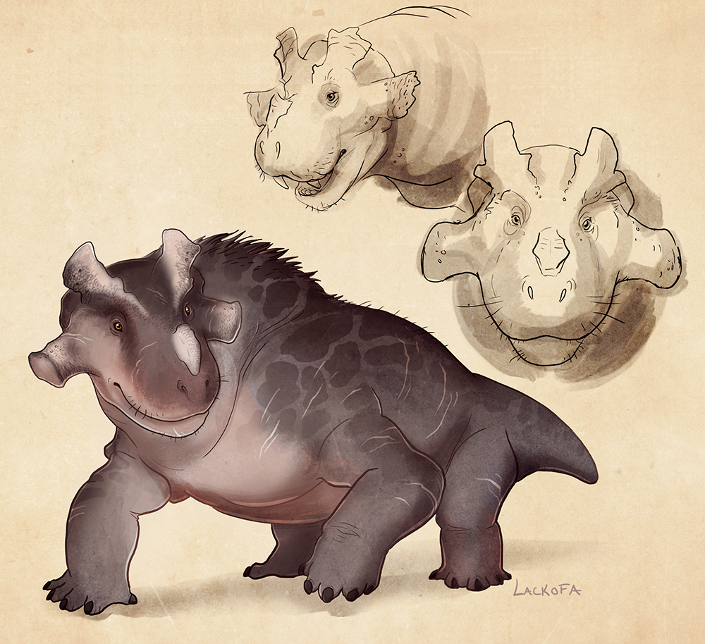 Estemmenosuchus sketches