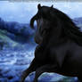 ~~ Friesian - SOLD TO OLD GROWTH~~