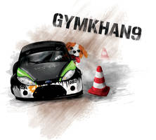Gymkhan9