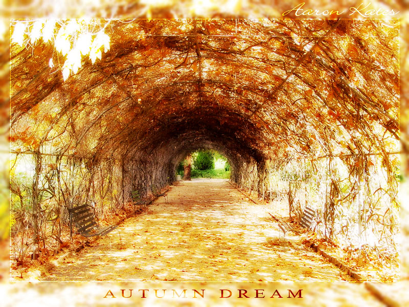 Autumn Dream