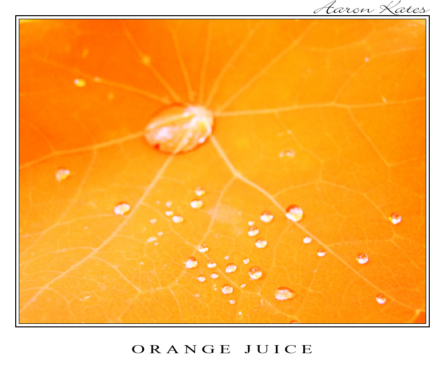 Orange Juice