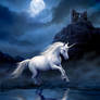 Moonlight Unicorn