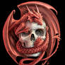 Dragon logo