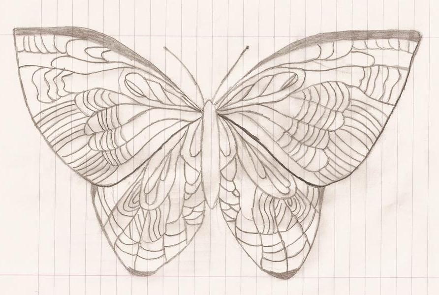 Butterfly