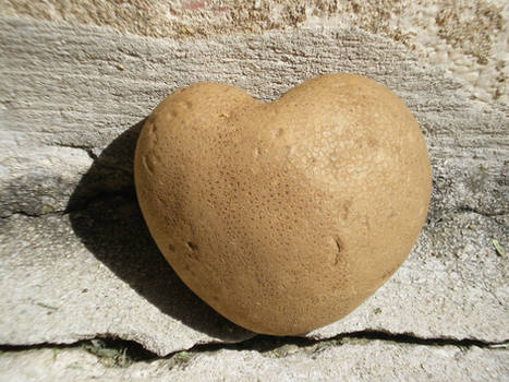 Love-Potato