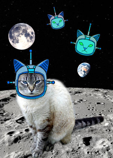 Alien Planet Cats by gddvats123 on DeviantArt
