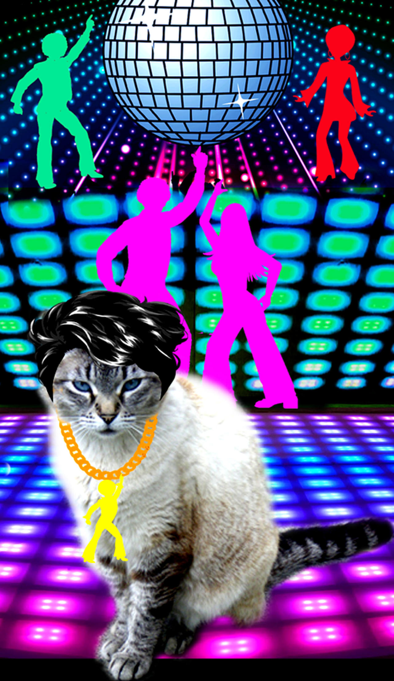 Disco Rave Cat Disco Cat by gddvats123 on DeviantArt