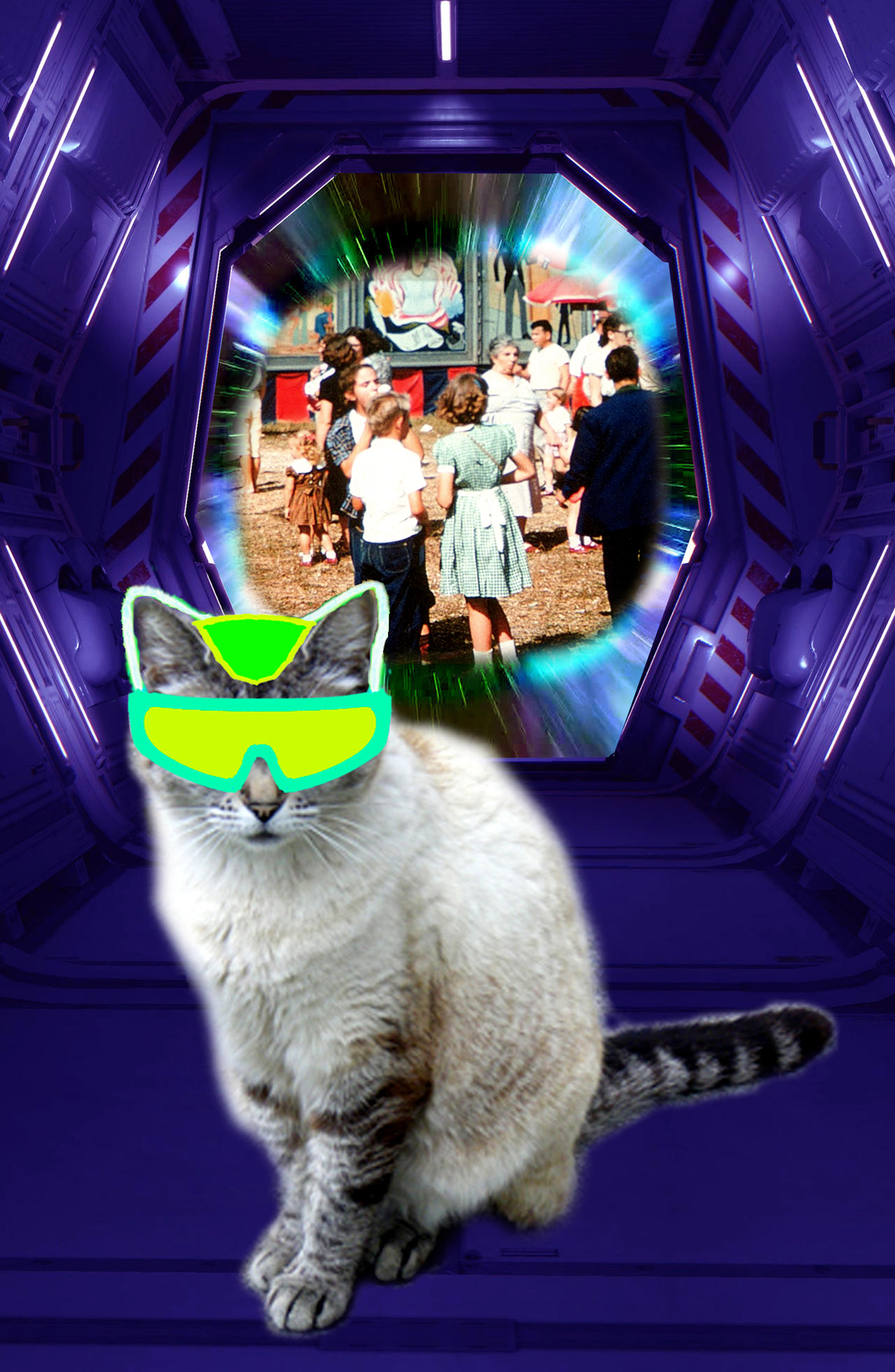 Travel Cat Computer System Time Travel Cat 5 by gddvats123 on DeviantArt