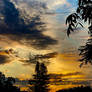 Sunset 651
