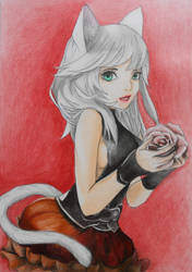 cat with rose