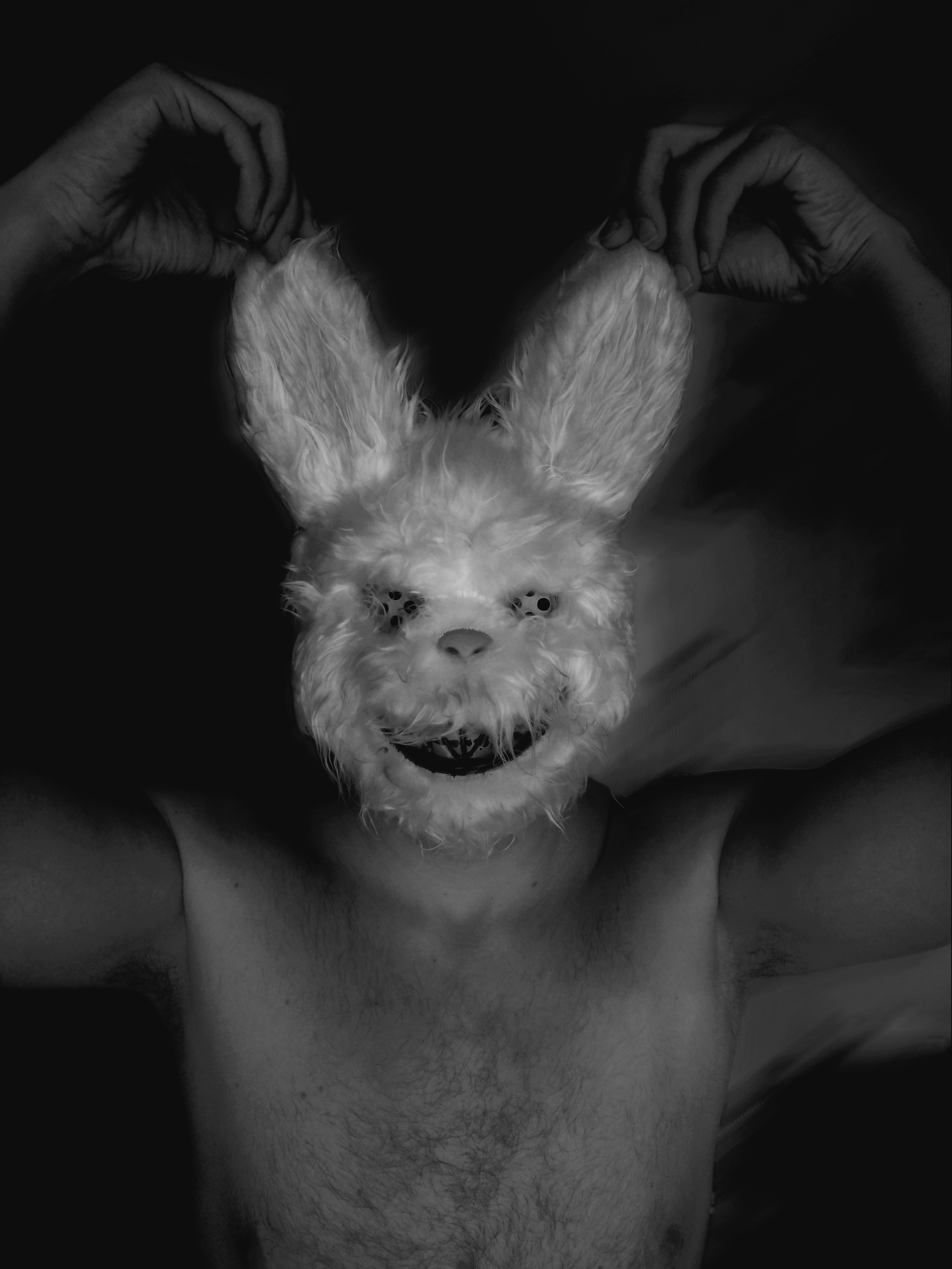 Imaginary Rabbit Horror Horror rabbit 4 by draco14021988 on DeviantArt