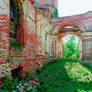 Church of Ilyinskoe village 5