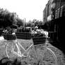 Flowerbed-bicycle