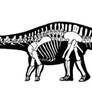Maraapunisaurus fragilimus