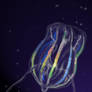 Ctenophore, Chengjiang