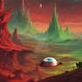 A New Home
