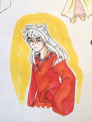 A wild Inuyasha appeared