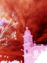 pink church