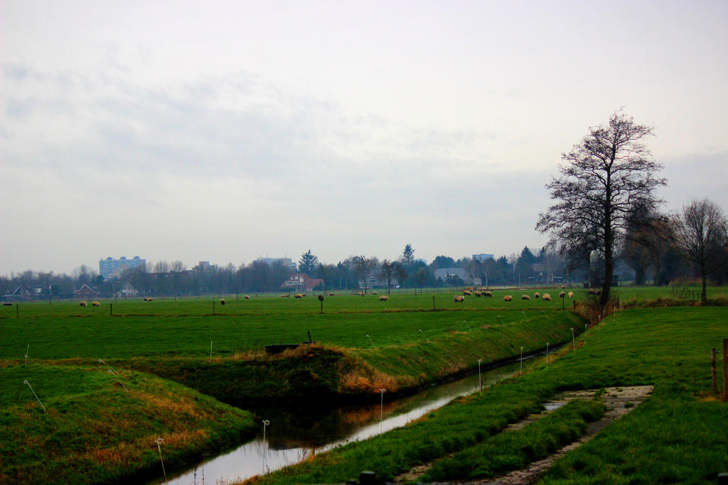 Dutch Farm Lands
