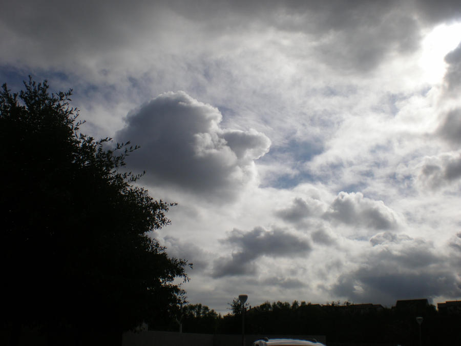 Face in the Clouds