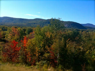 Mountains and Brush