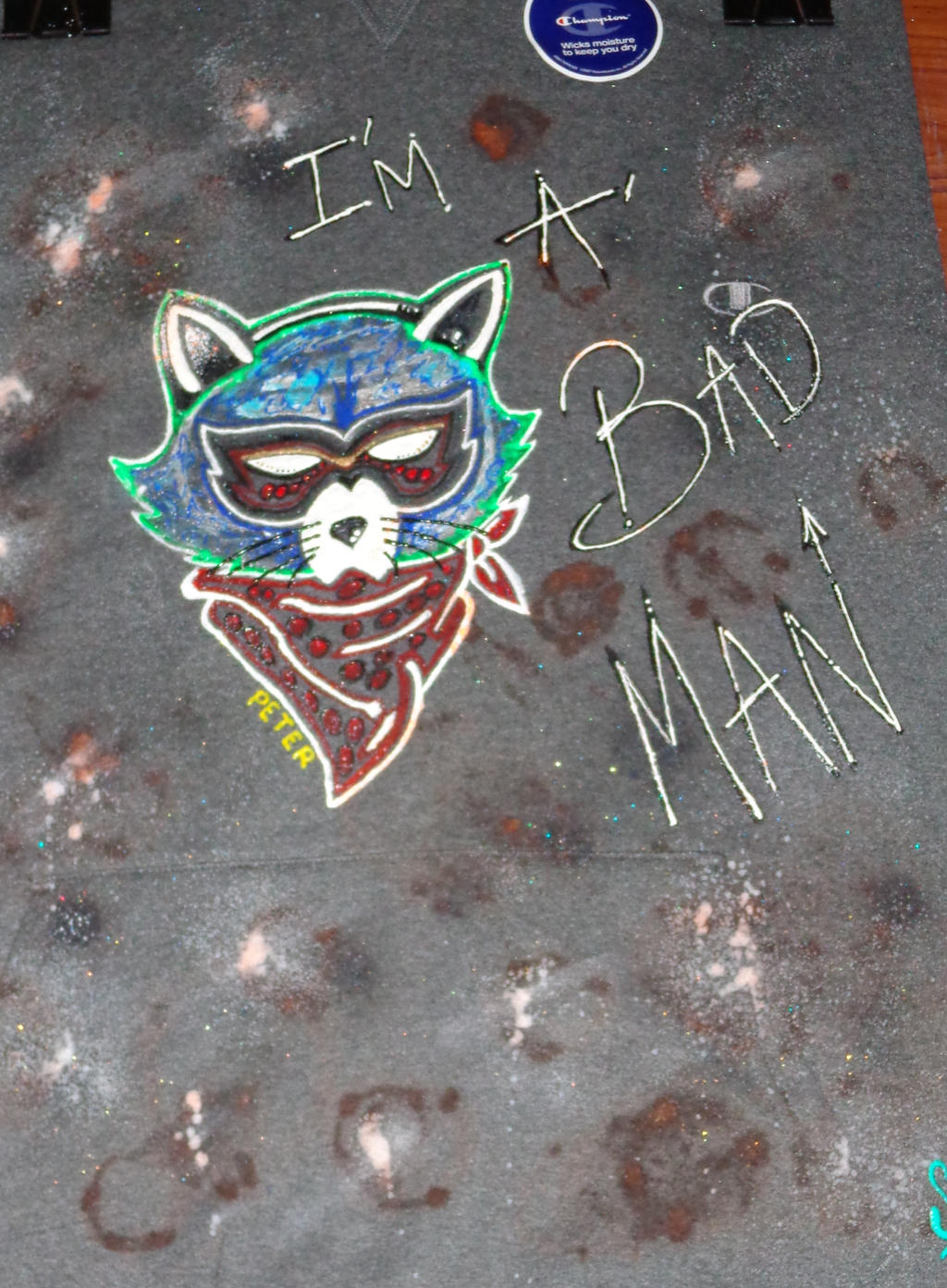 Bad Racoon by elpaisa17 on DeviantArt