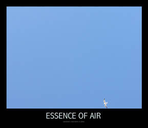 Essence of air