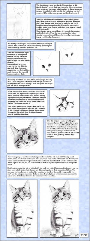 Cat portrait tutorial