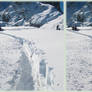 Snowy Pass - 3D xeye