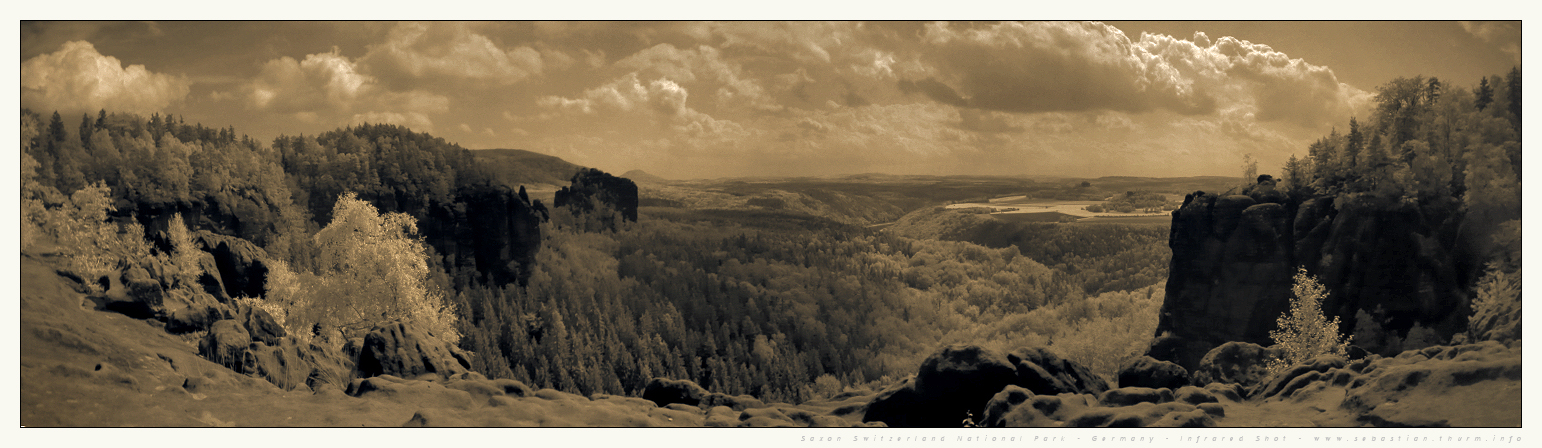 Infrared Landscape